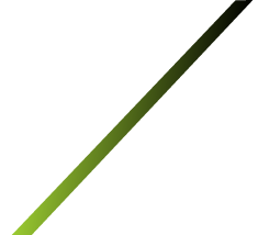 Factpro